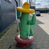 Ringwerpen Cactus
