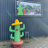 Ringwerpen Cactus